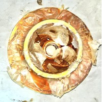 Н11.120.00.003-08 Колесо рабочее НЦВ 250/30А Н11.120.00.003-08 Колесо рабочее НЦВ 250/30А